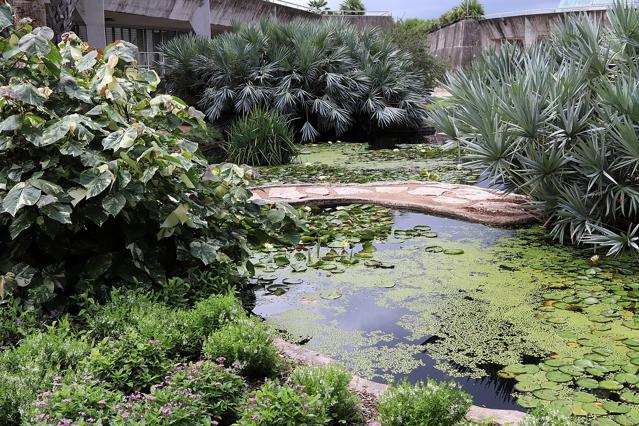 San Antonio Botanical Garden